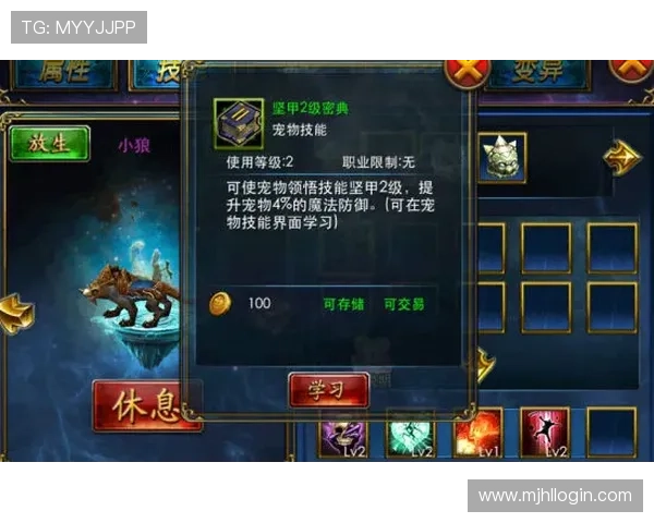 PG国际服手游下载安装流程详解,解决常见问题让你轻松开启游戏之旅